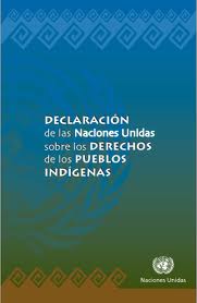 Aceptan gobiernos que inclumplen Declaración de la ONU sobre Pueblos Indígenas