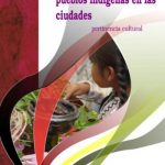 libro-gobernabilidadPI