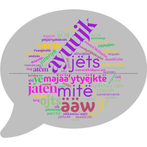 AMIdiainternacional2025